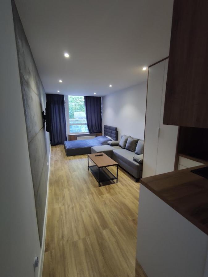 U Dziubaskow Apartment *